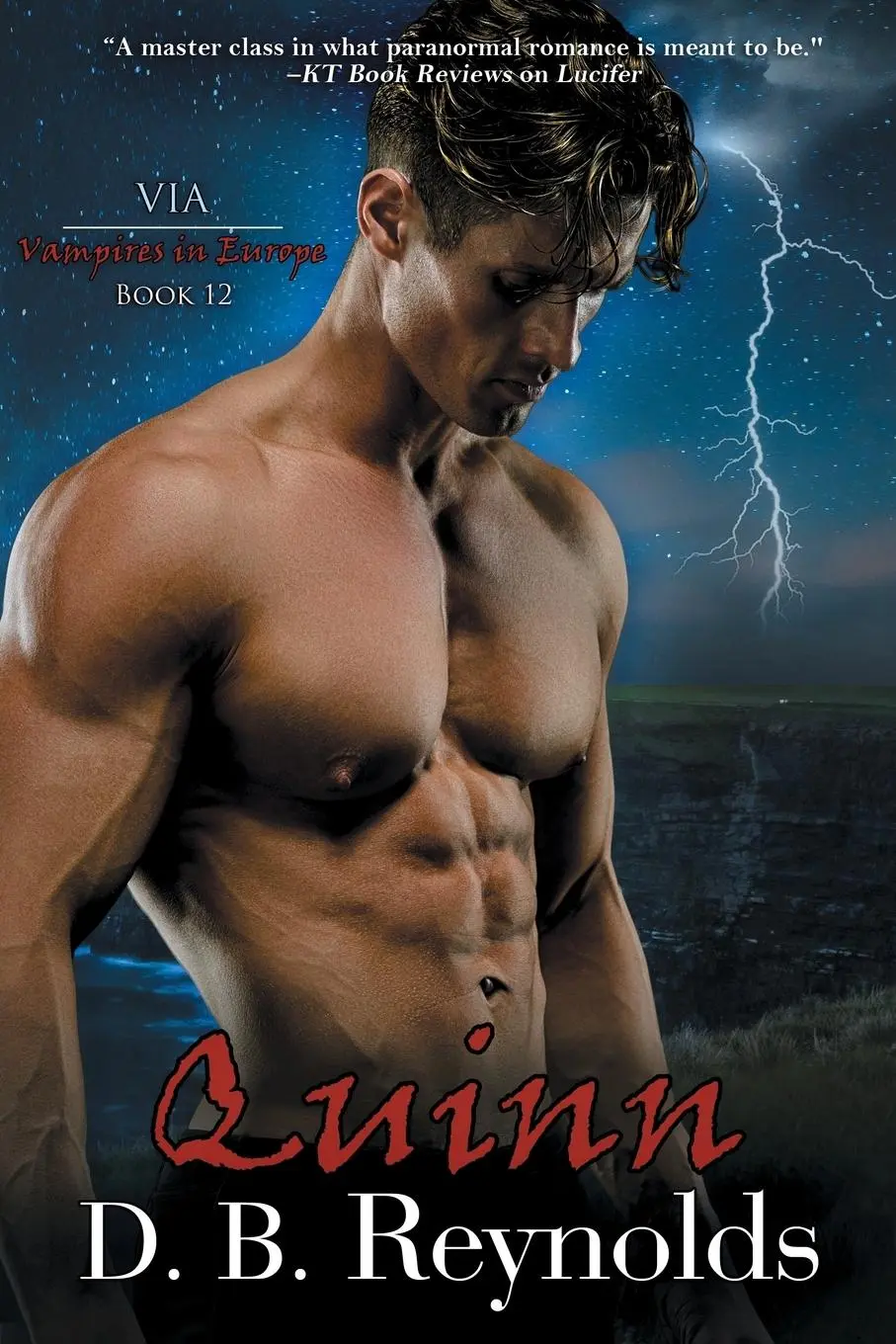 Cover: 9781611948752 | Quinn | D. B. Reynolds | Taschenbuch | Englisch | 2018 | ImaJinn Books