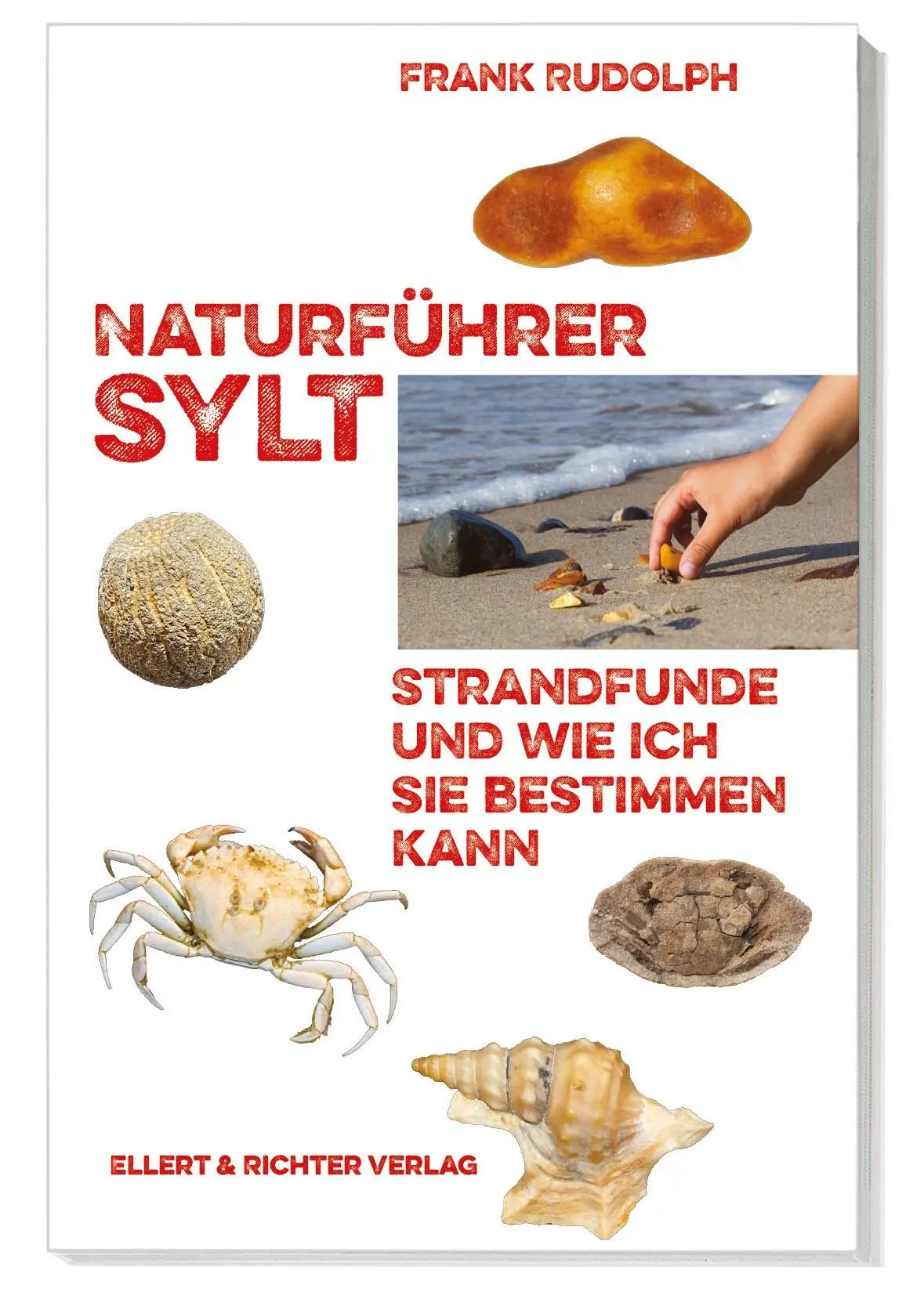 Cover: 9783831908752 | Naturführer Sylt | Strandfunde und wie ich sie bestimmen kann | Buch
