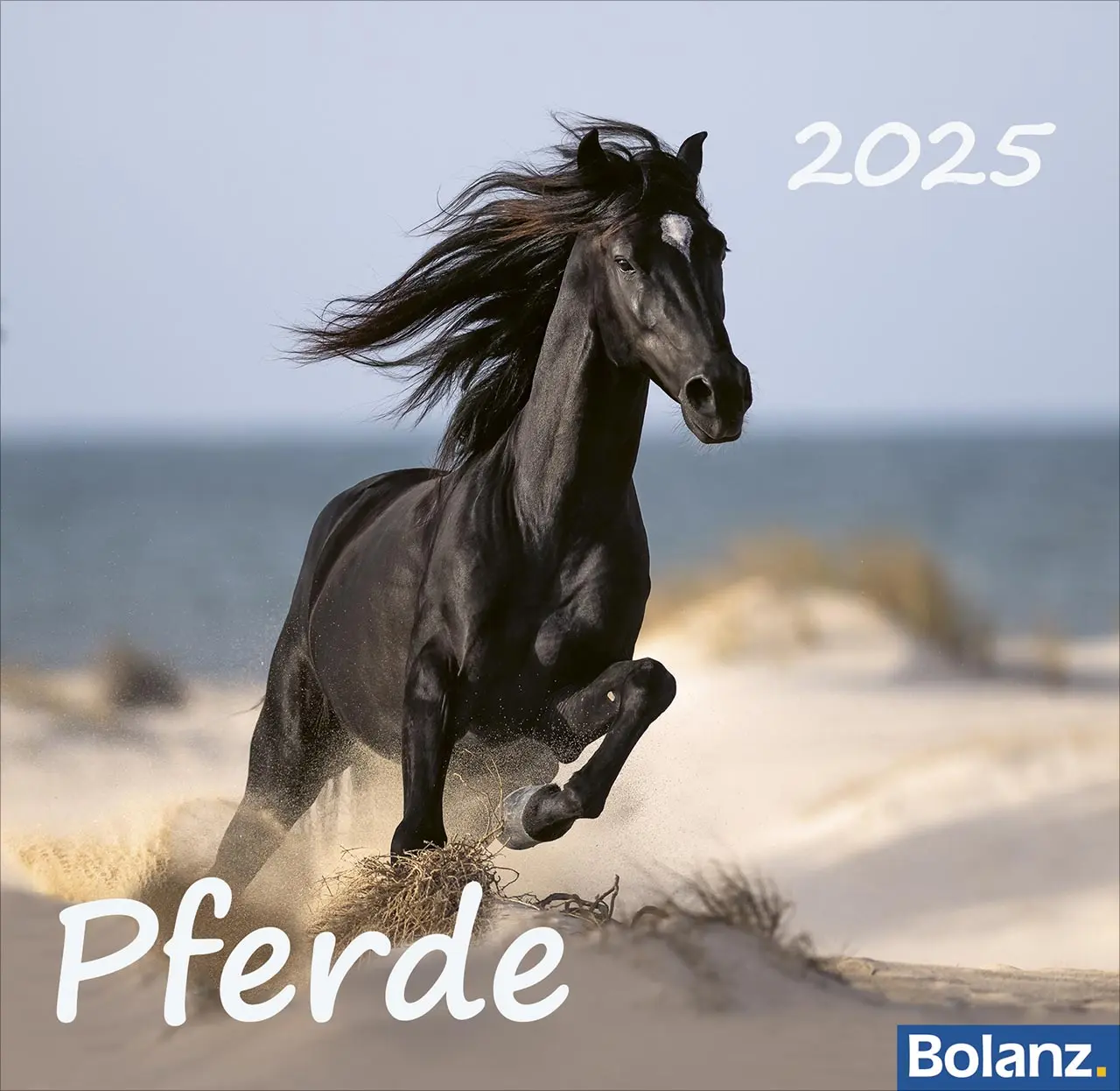 Cover: 9783866038752 | Pferde 2025 | Tischkalender | Sonstiges | Deutsch | 2025