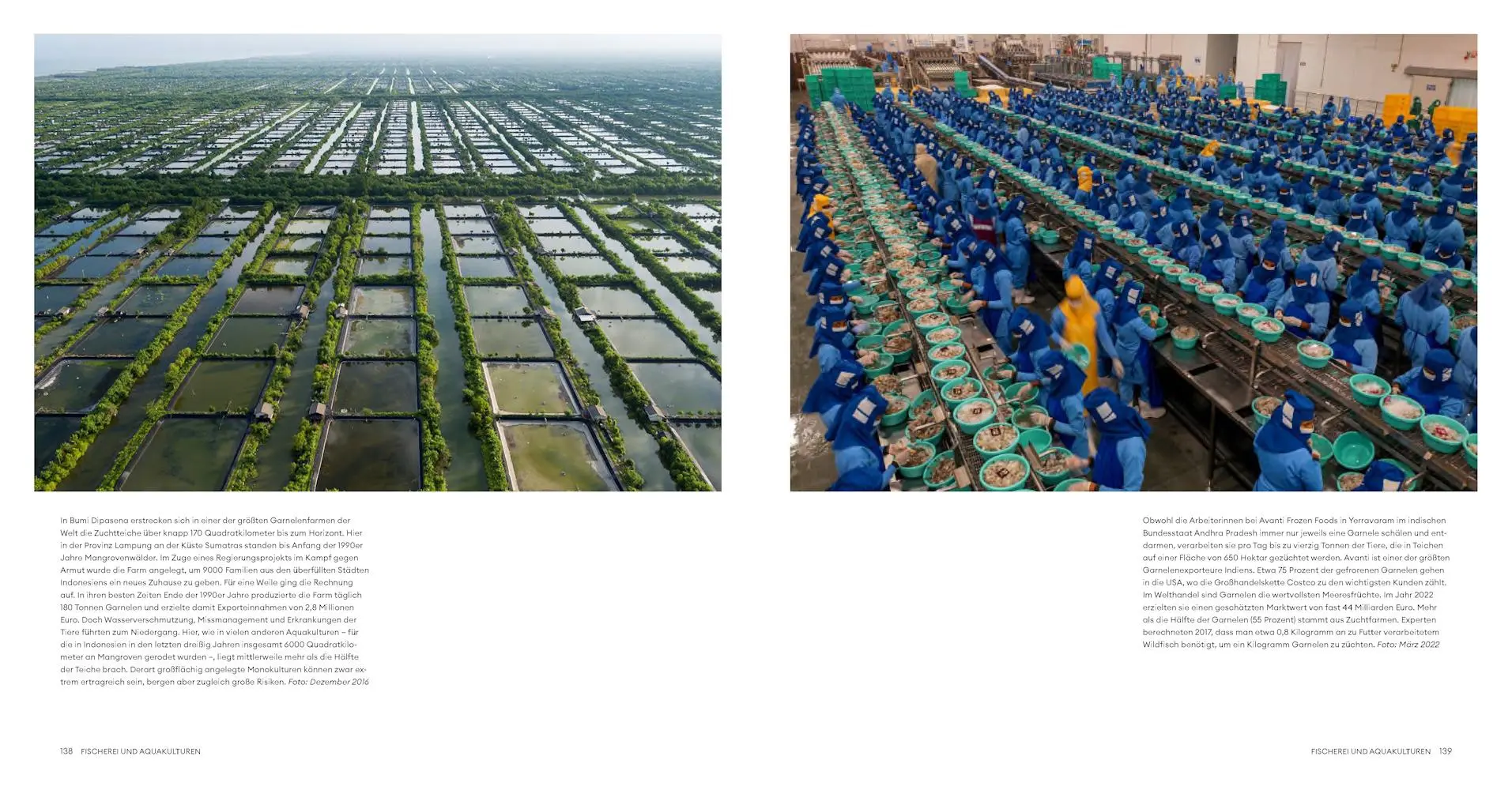 Bild: 9783957288752 | Feed the Planet | Wie unser Appetit die Erde formt | George Steinmetz