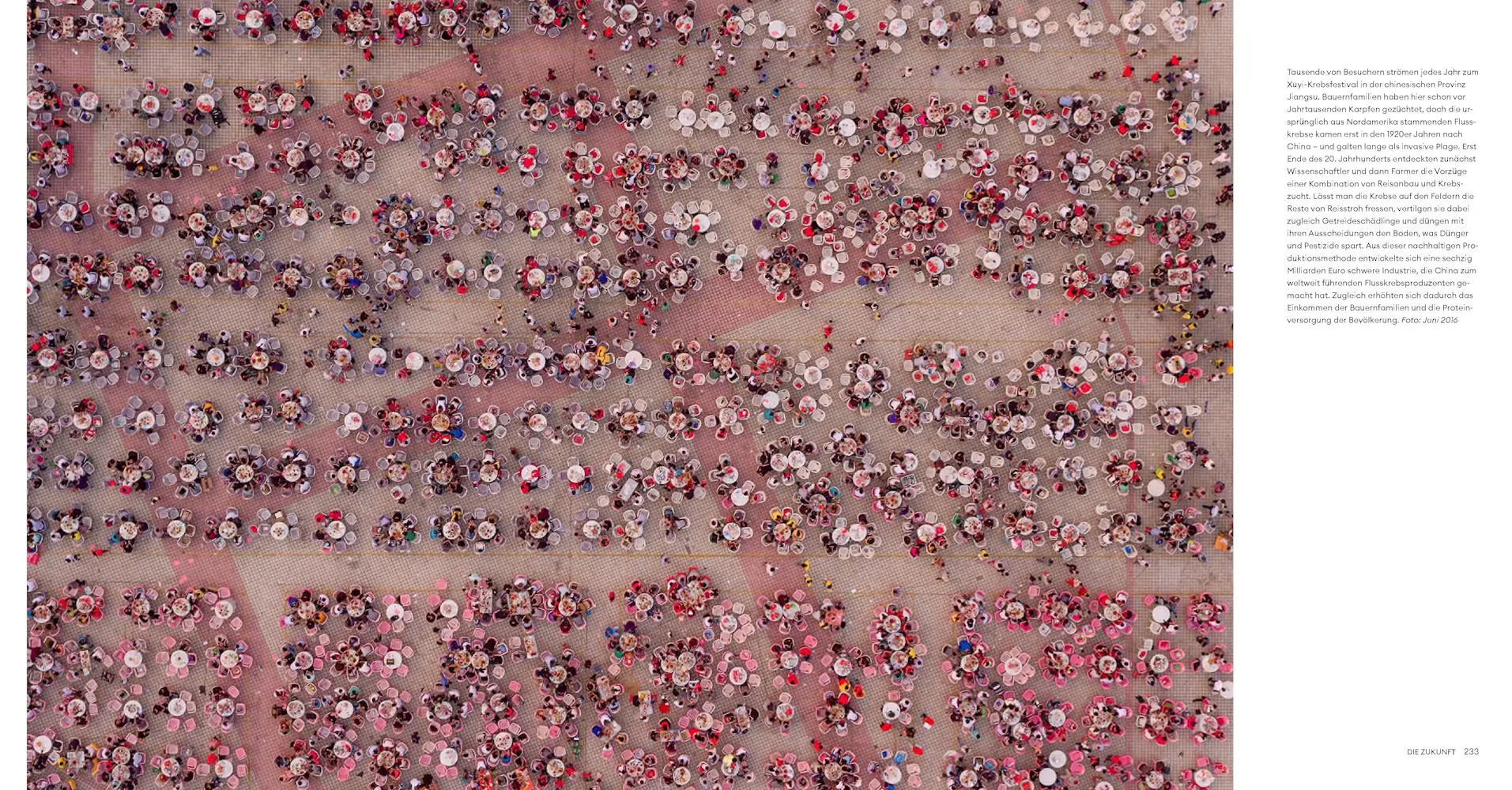 Bild: 9783957288752 | Feed the Planet | Wie unser Appetit die Erde formt | George Steinmetz