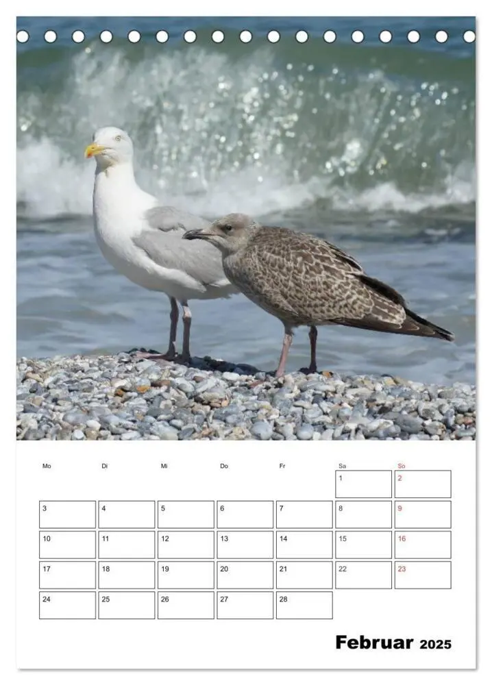 Bild: 9783435998852 | Einzigartige Insel Helgoland (Tischkalender 2025 DIN A5 hoch),...