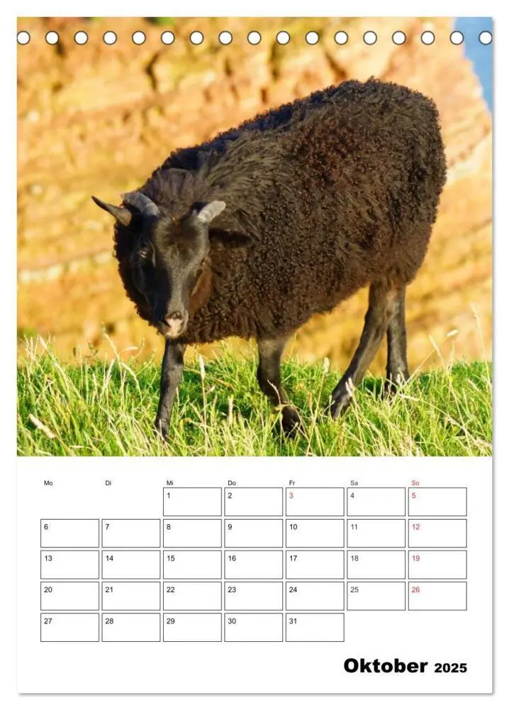 Bild: 9783435998852 | Einzigartige Insel Helgoland (Tischkalender 2025 DIN A5 hoch),...