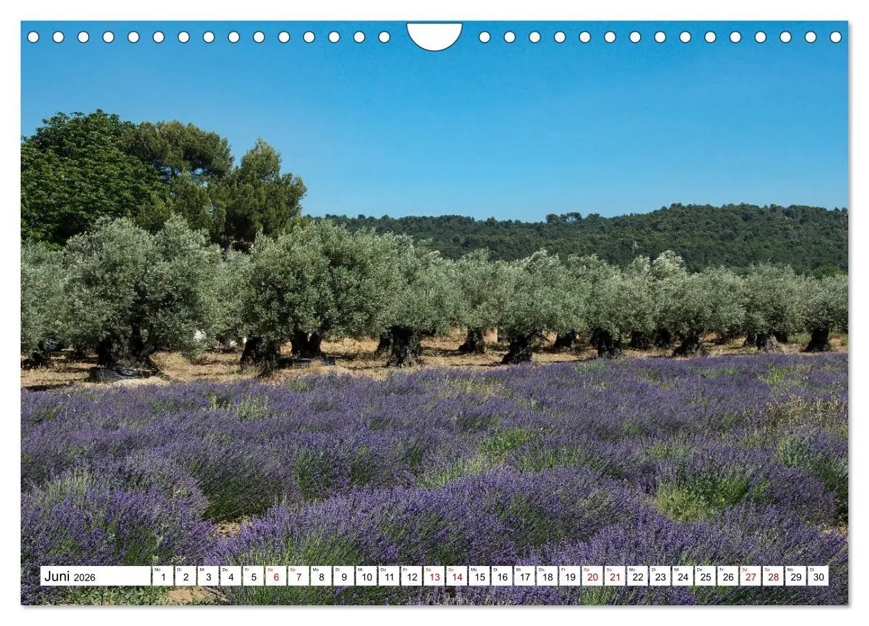 Bild: 9783457848852 | Mit dem Rennrad zum Mont Ventoux (Wandkalender 2026 DIN A4 quer),...