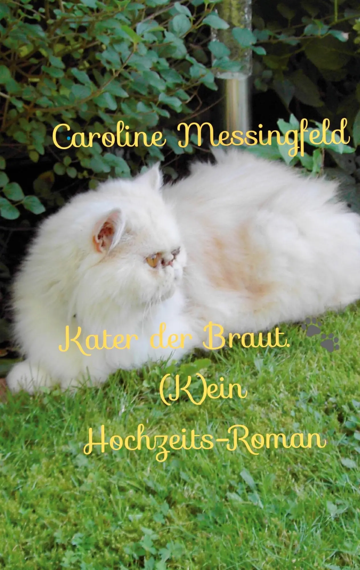 Cover: 9783753478852 | Kater der Braut. | (K)ein Hochzeits-Roman | Caroline Messingfeld