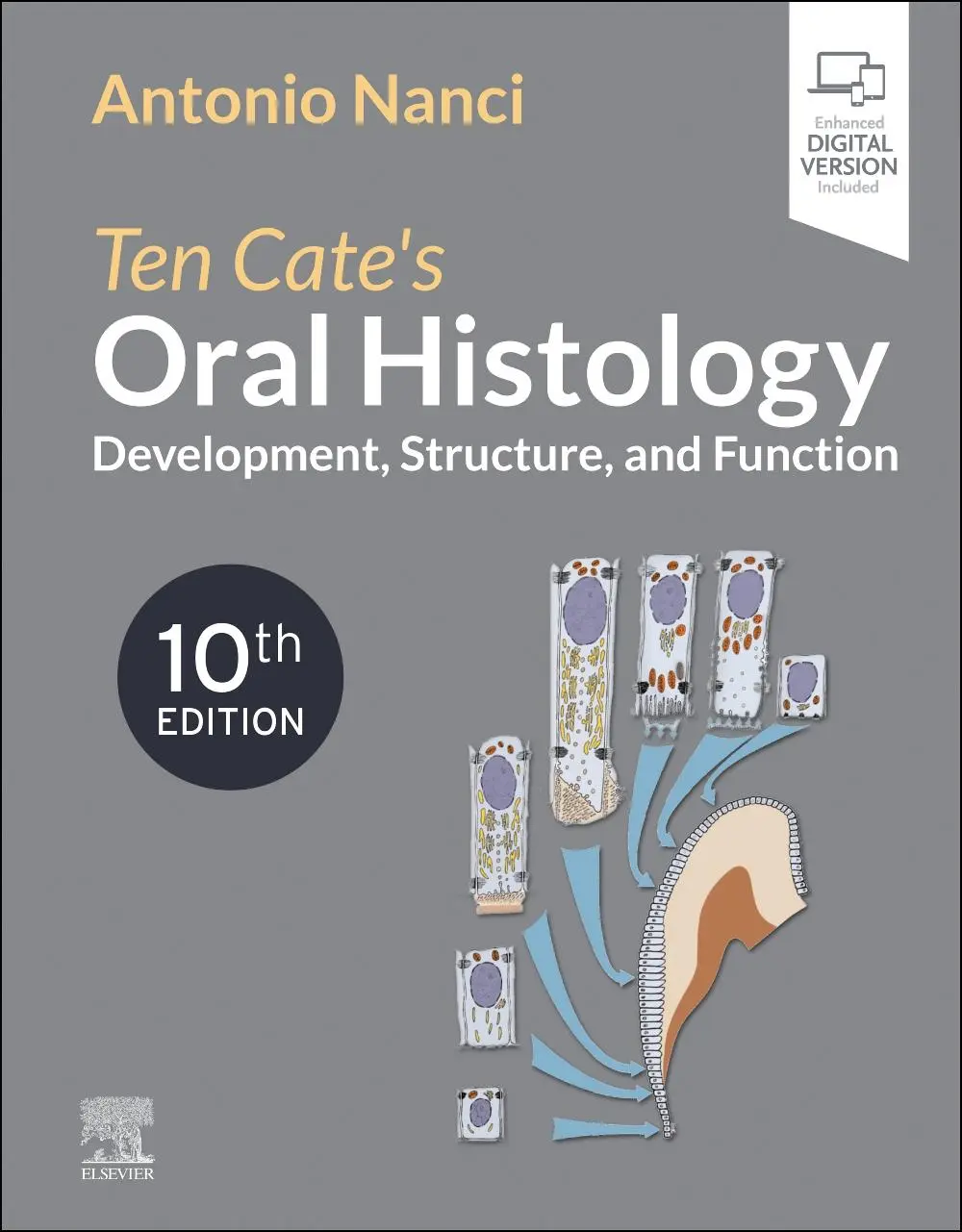 Cover: 9780323798952 | Ten Cate's Oral Histology | Development, Structure, and Function