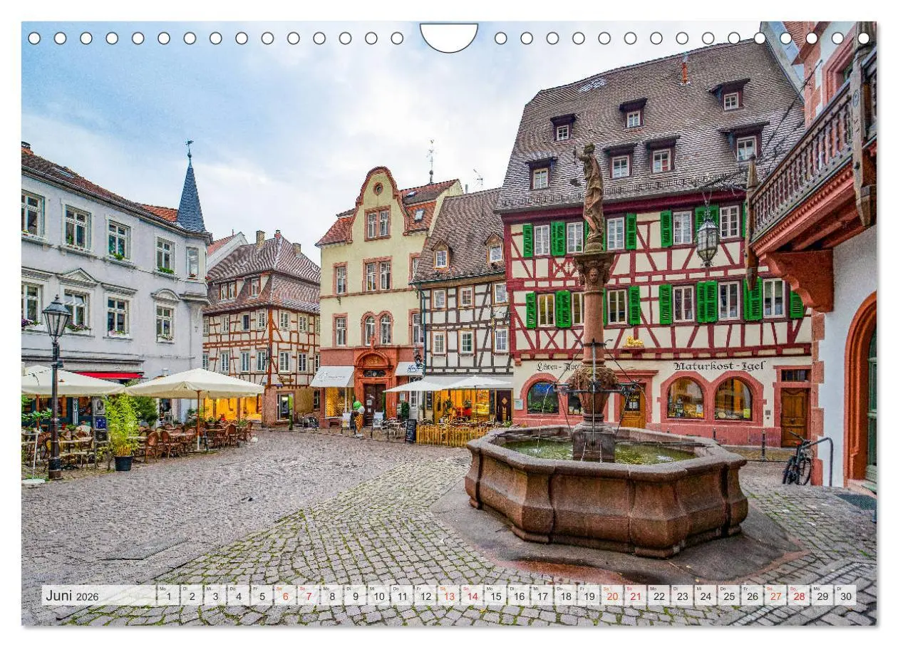 Bild: 9783457768952 | Weinheim Impressionen (Wandkalender 2026 DIN A4 quer), CALVENDO...