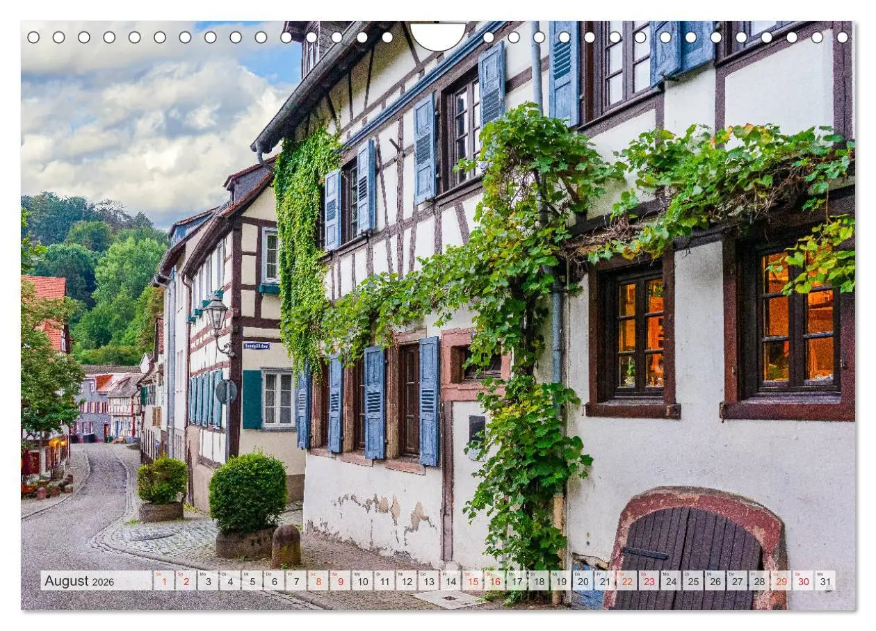Bild: 9783457768952 | Weinheim Impressionen (Wandkalender 2026 DIN A4 quer), CALVENDO...