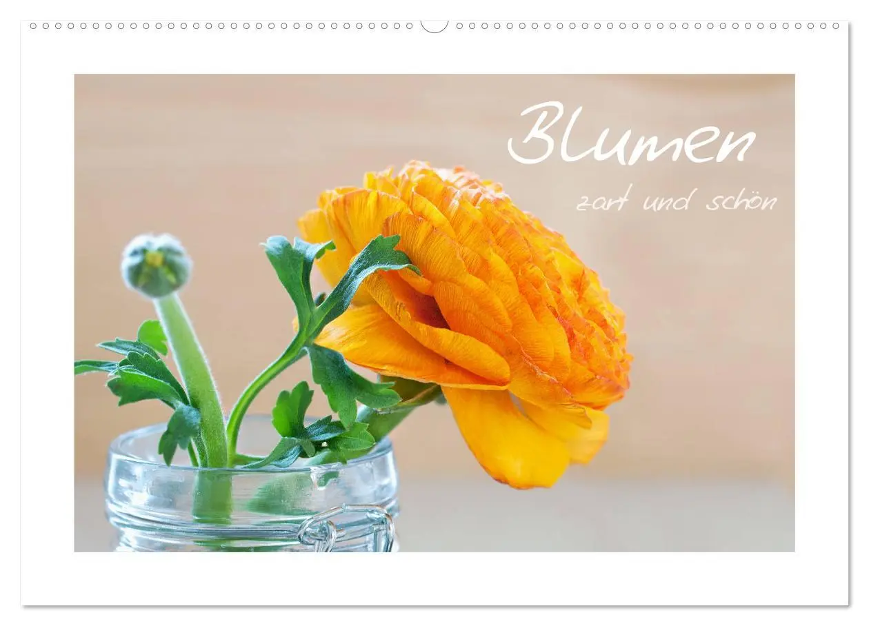 Cover: 9783457908952 | Blumen zart und schön (Wandkalender 2026 DIN A2 quer), CALVENDO...