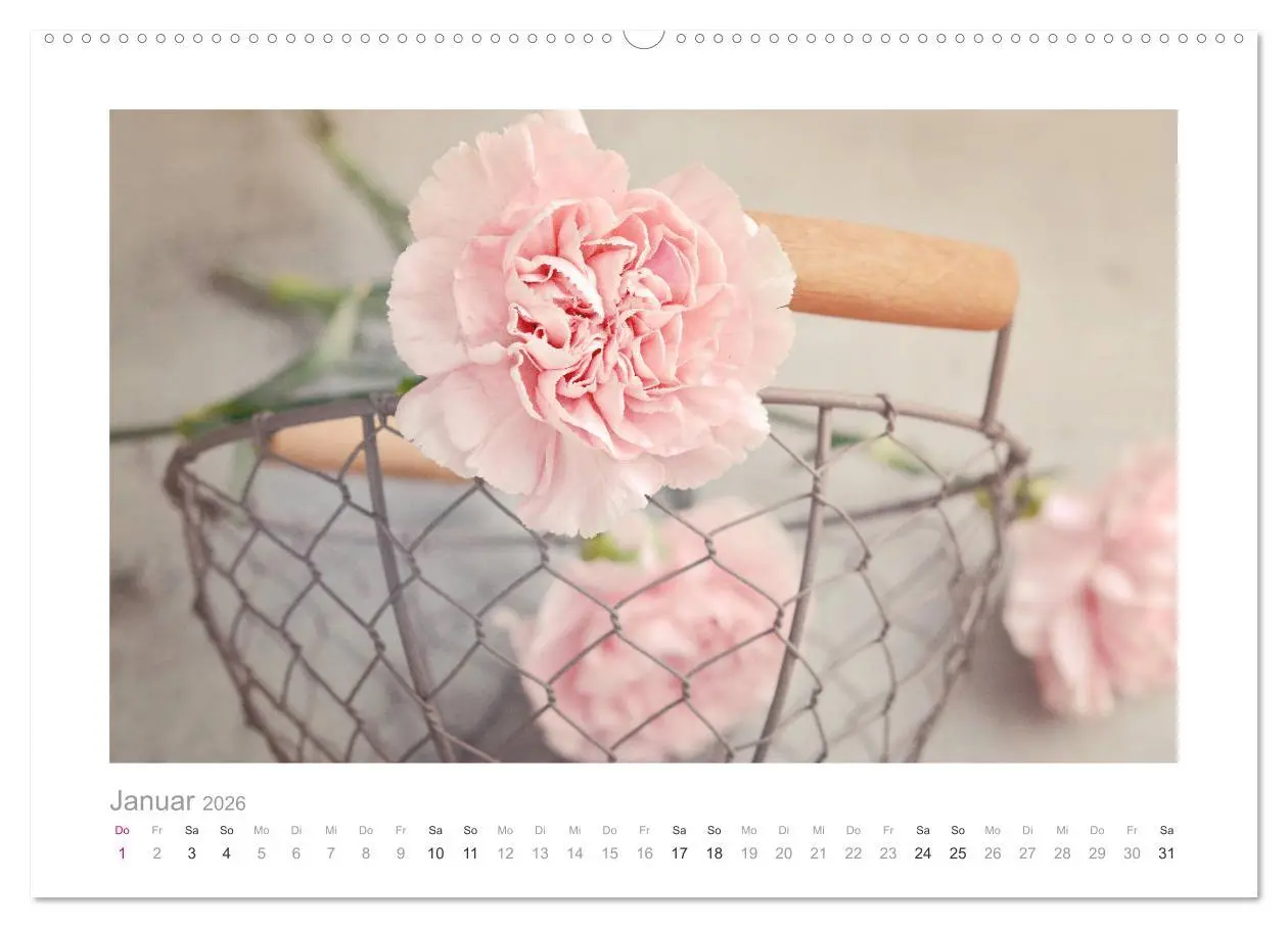 Bild: 9783457908952 | Blumen zart und schön (Wandkalender 2026 DIN A2 quer), CALVENDO...