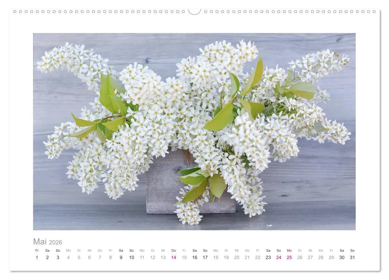 Bild: 9783457908952 | Blumen zart und schön (Wandkalender 2026 DIN A2 quer), CALVENDO...