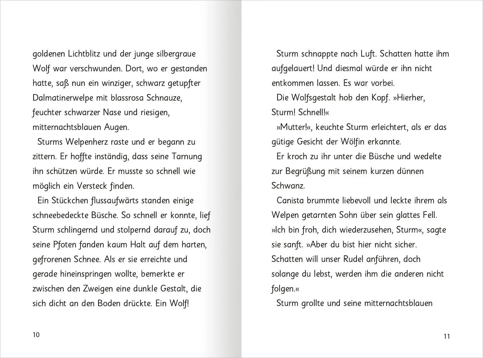 Bild: 9783845848952 | Auf magischen Pfoten - Tapsige Abenteuer | Sue Bentley | Buch | 256 S.