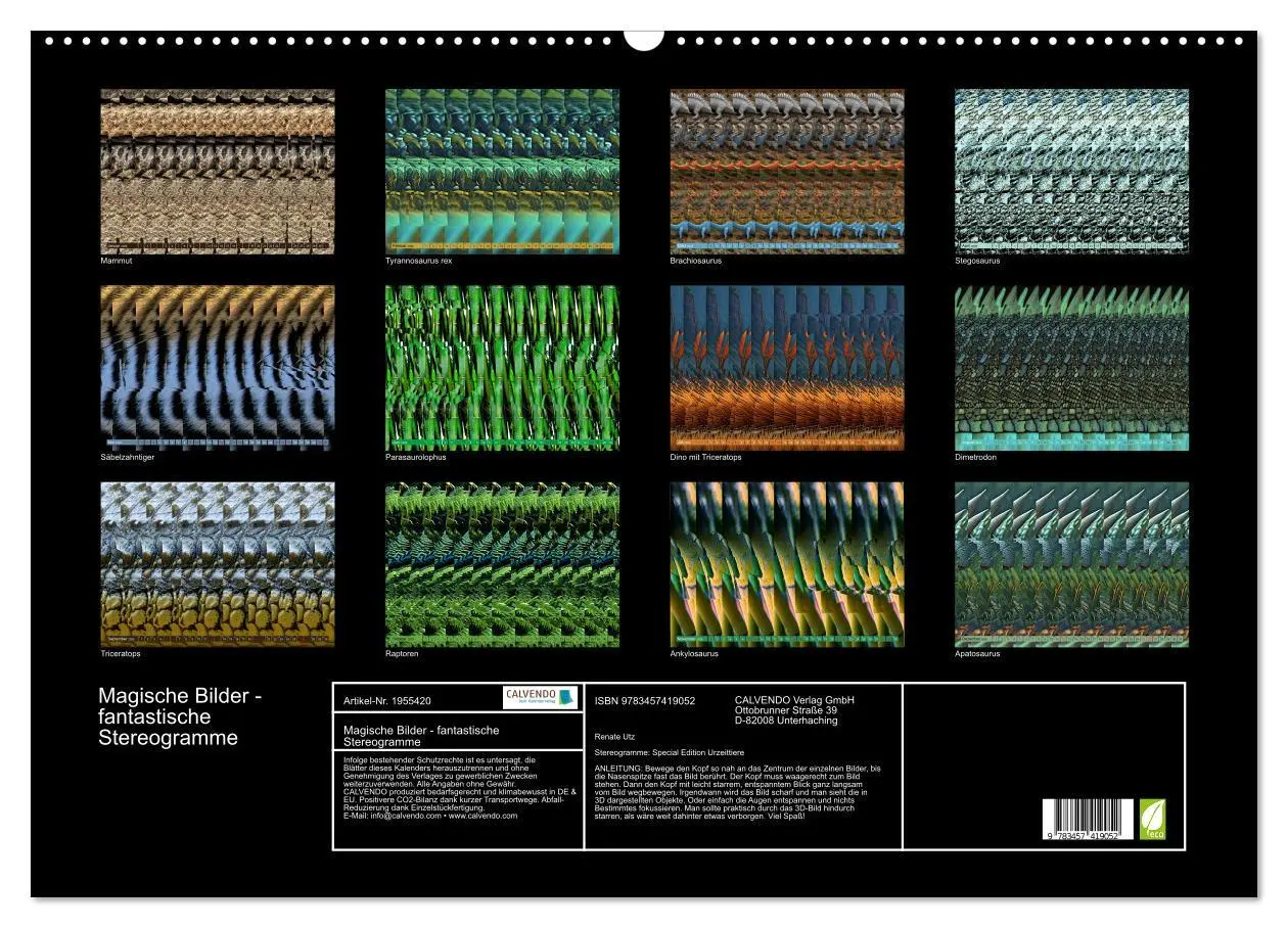 Bild: 9783457419052 | Magische Bilder - fantastische Stereogramme (Wandkalender 2026 DIN...