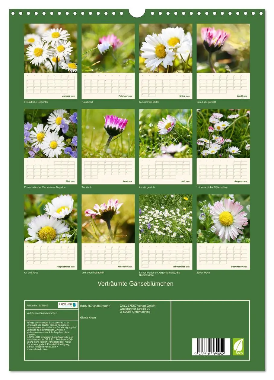 Bild: 9783516369052 | Verträumte Gänseblümchen (Wandkalender 2026 DIN A3 hoch), CALVENDO...