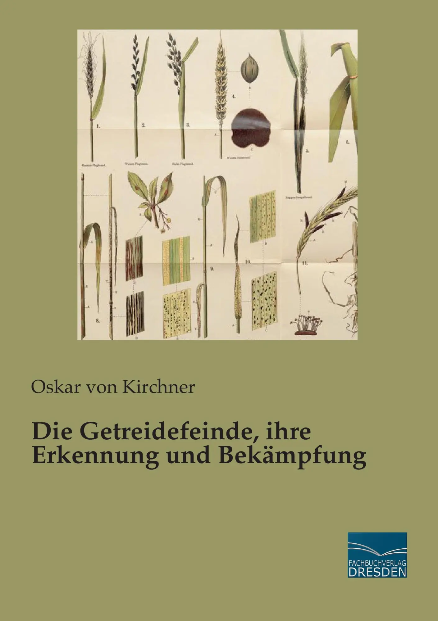 Cover: 9783956929052 | Die Getreidefeinde, ihre Erkennung und Bekämpfung | Oskar Von Kirchner