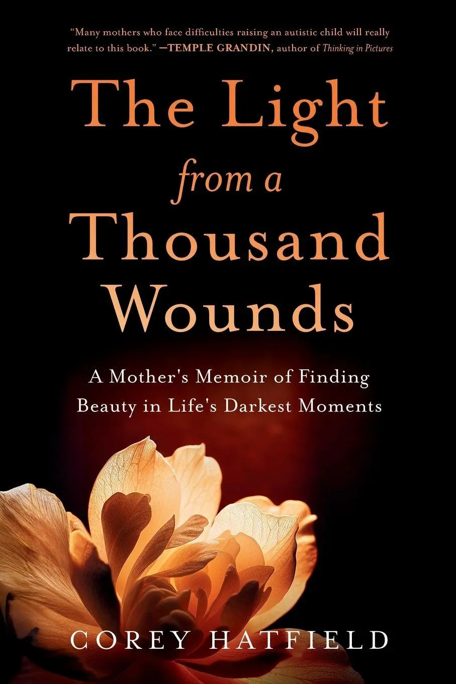 Cover: 9781632999252 | The Light from a Thousand Wounds | Corey Hatfield | Taschenbuch | 2025