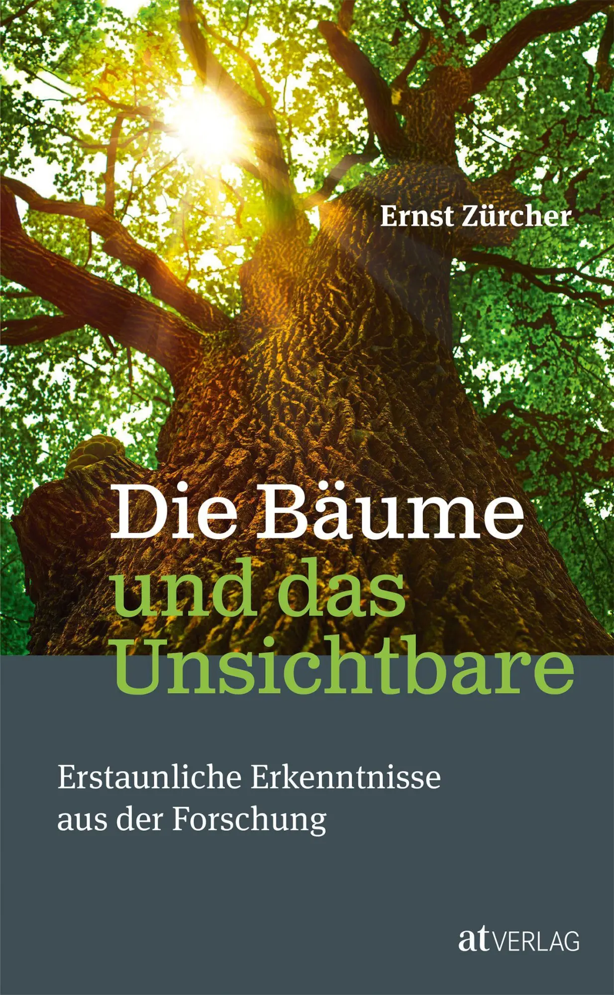 Cover: 9783038009252 | Die Bäume und das Unsichtbare | Ernst Zürcher | Buch | 240 S. | 2016