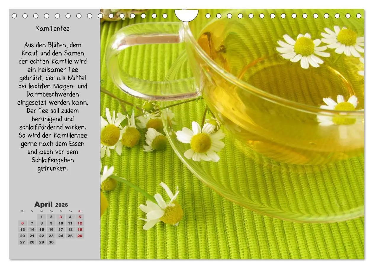 Bild: 9783516109252 | Eine kleine Teekunde - Zwölf Teesorten im Porträt (Wandkalender...