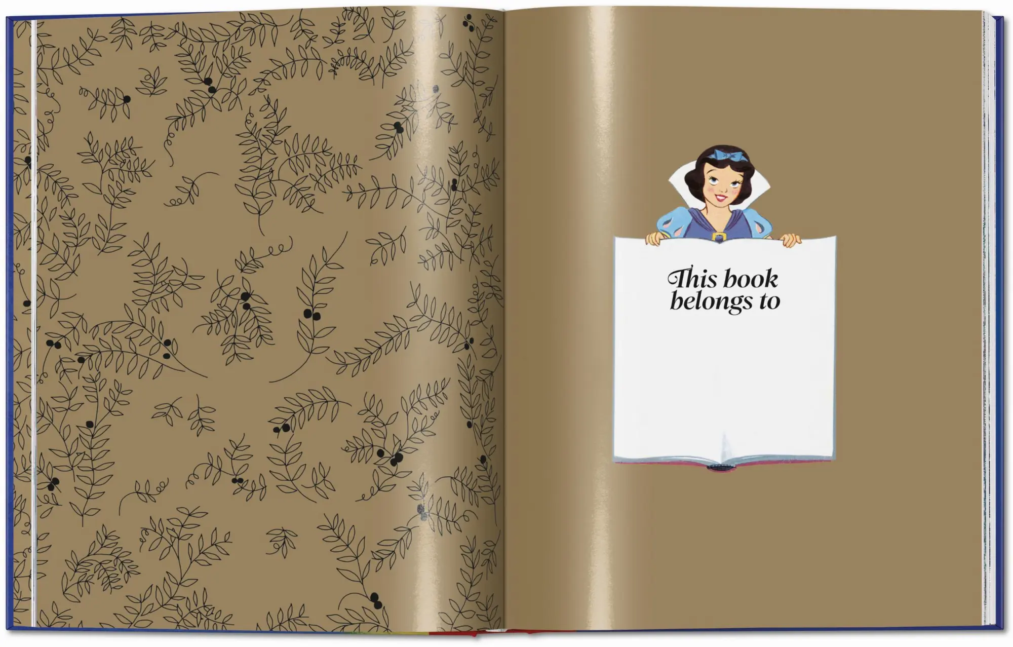 Bild: 9783836599252 | Walt Disney's Children's Classics 1937-1953 | Charles Solomon | Buch