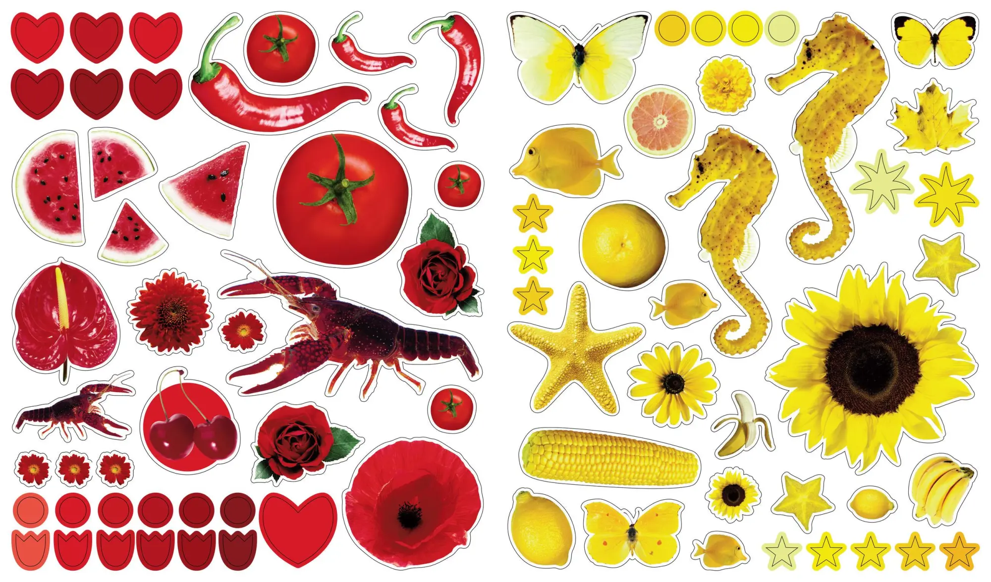 Bild: 9780761169352 | Eyelike Stickers: Colors | Broschüre | Workman Kids | Englisch | 2008