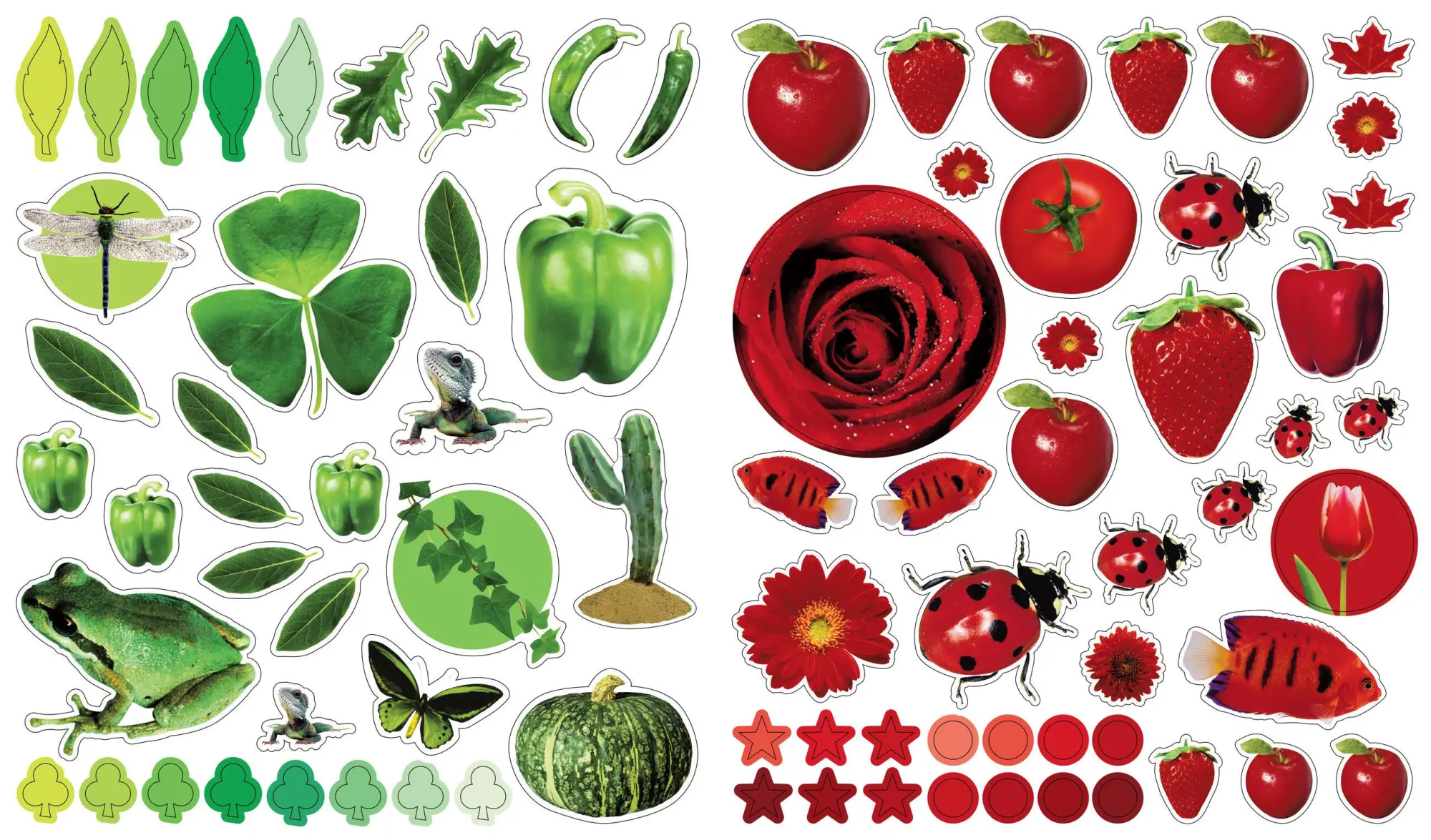 Bild: 9780761169352 | Eyelike Stickers: Colors | Broschüre | Workman Kids | Englisch | 2008