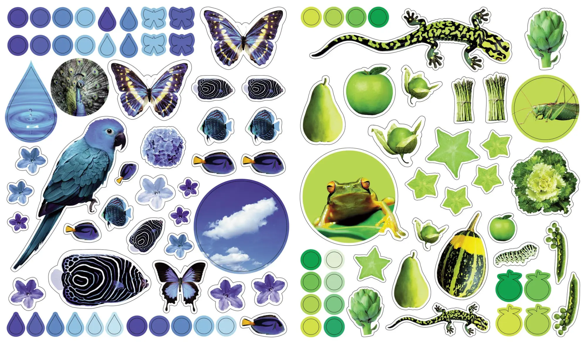 Bild: 9780761169352 | Eyelike Stickers: Colors | Broschüre | Workman Kids | Englisch | 2008
