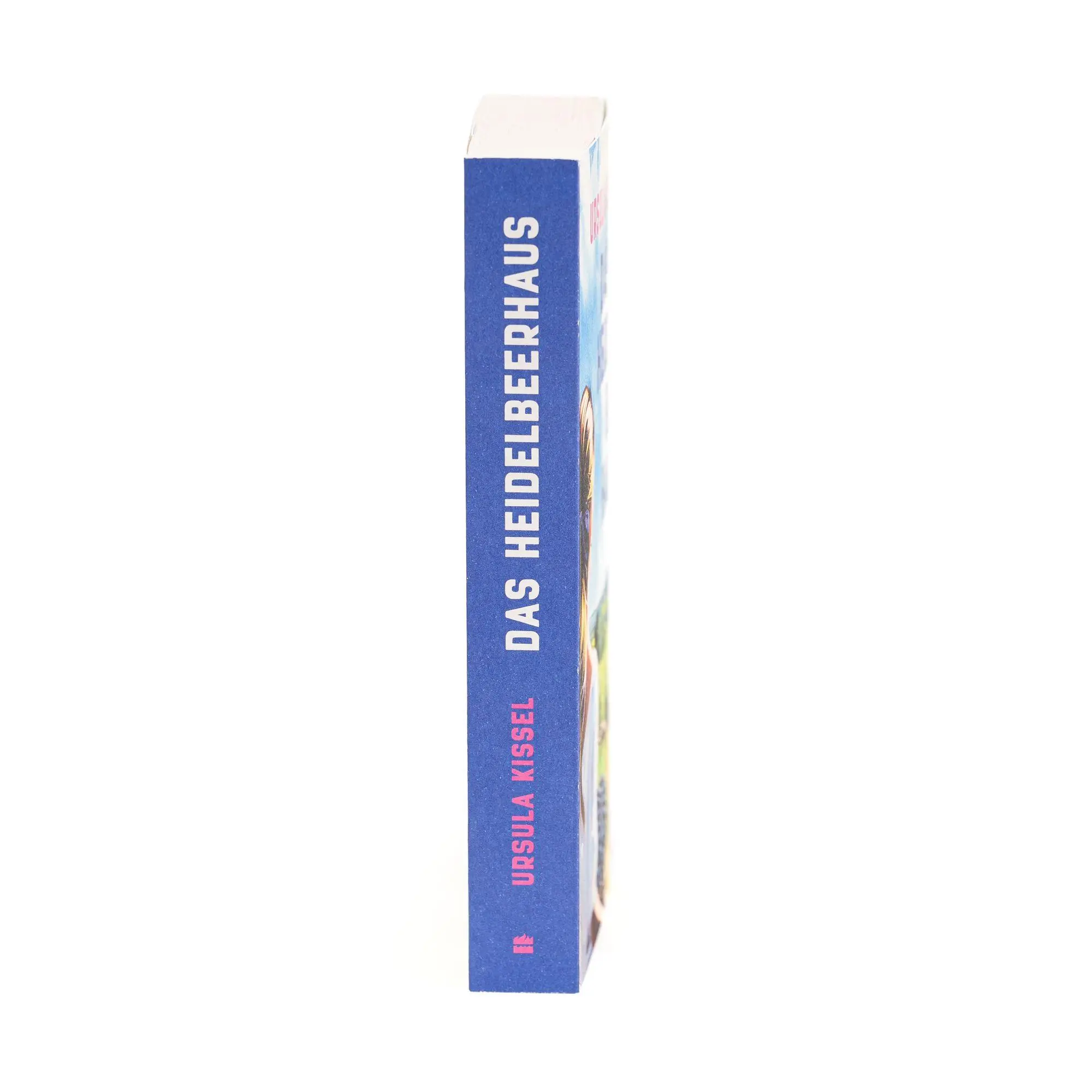 Bild: 9783365009352 | Das Heidelbeerhaus | Ursula Kissel | Taschenbuch | 400 S. | Deutsch