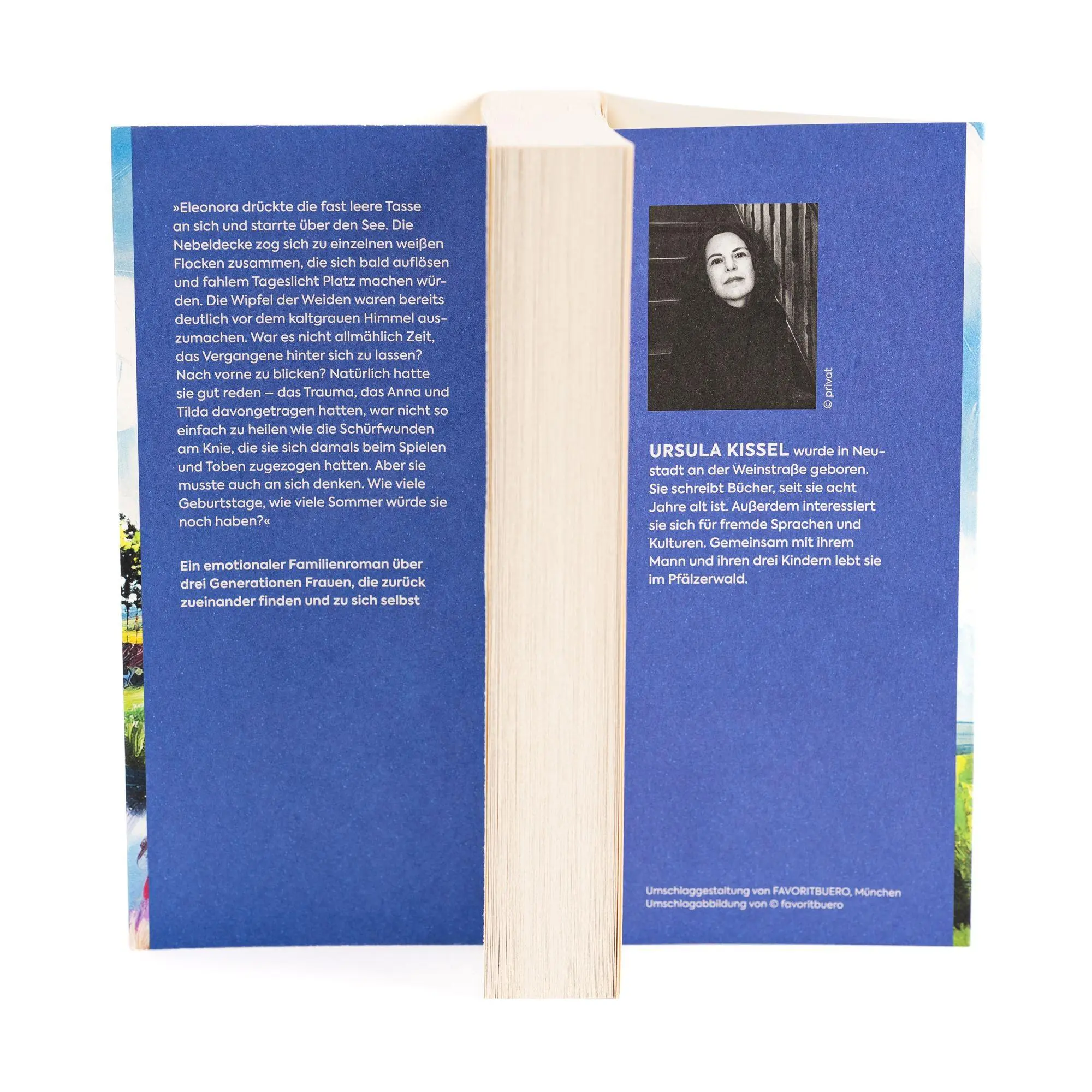 Bild: 9783365009352 | Das Heidelbeerhaus | Ursula Kissel | Taschenbuch | 400 S. | Deutsch