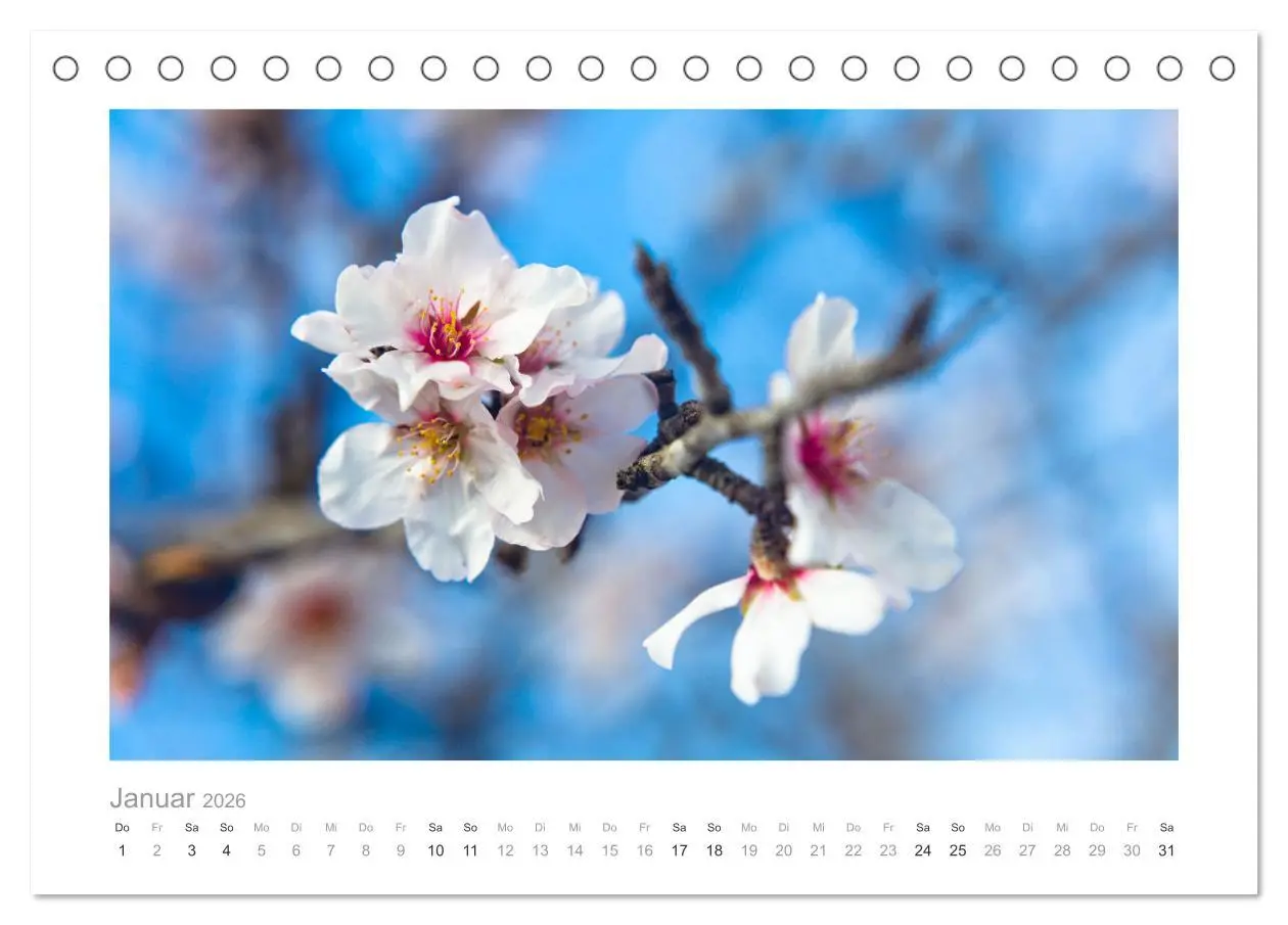 Bild: 9783457619452 | Mallorca - Natur pur (Tischkalender 2026 DIN A5 quer), CALVENDO...