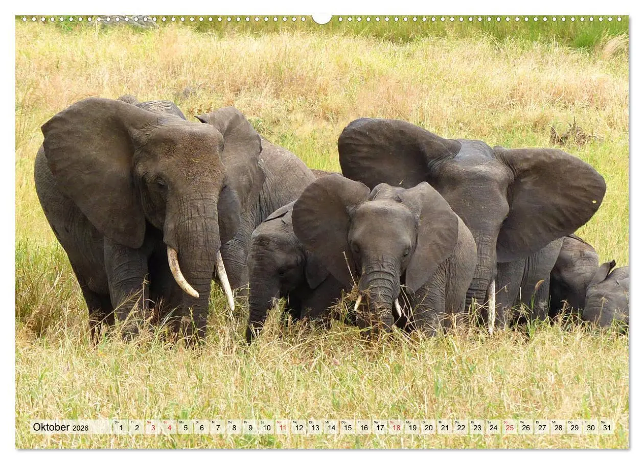 Bild: 9783457929452 | Tansania. Impressionen aus Ostafrika (Wandkalender 2026 DIN A2...