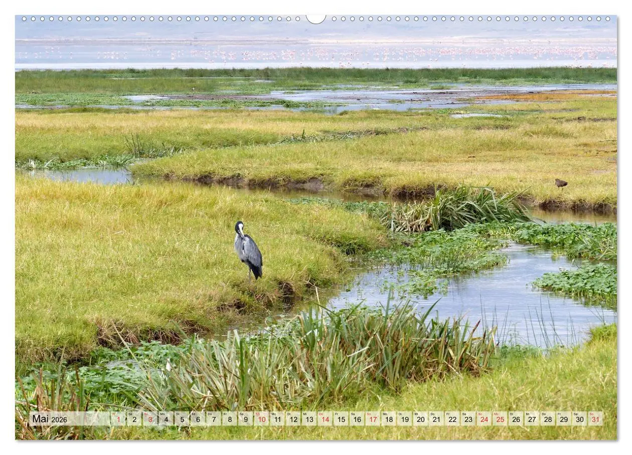 Bild: 9783457929452 | Tansania. Impressionen aus Ostafrika (Wandkalender 2026 DIN A2...