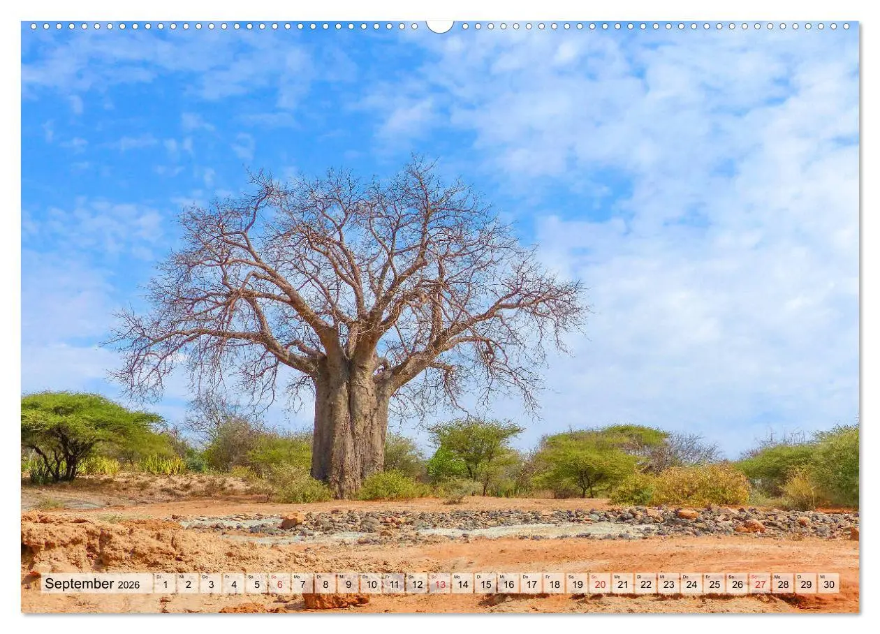 Bild: 9783457929452 | Tansania. Impressionen aus Ostafrika (Wandkalender 2026 DIN A2...