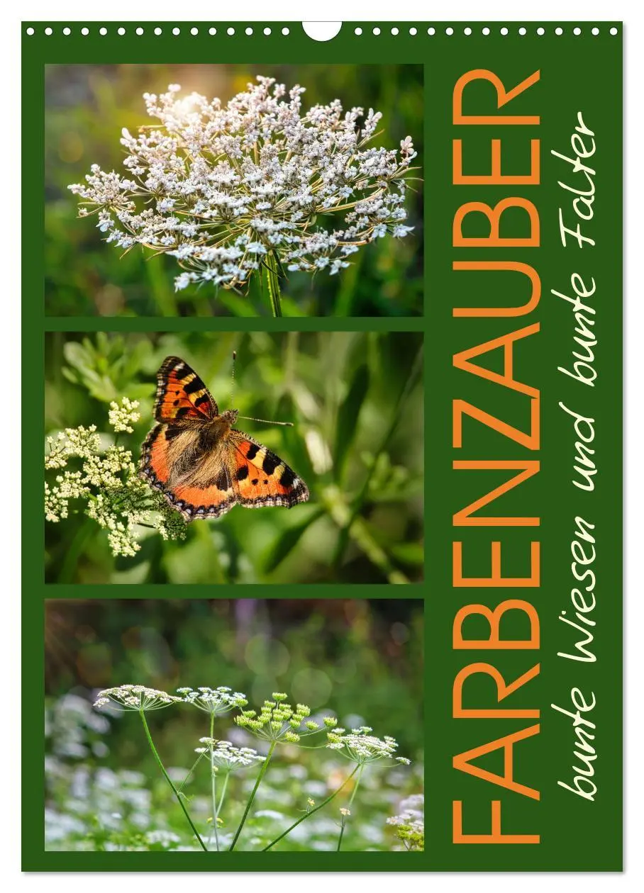Cover: 9783516259452 | Farbenzauber, bunte Wiesen und bunte Falter (Wandkalender 2026 DIN...