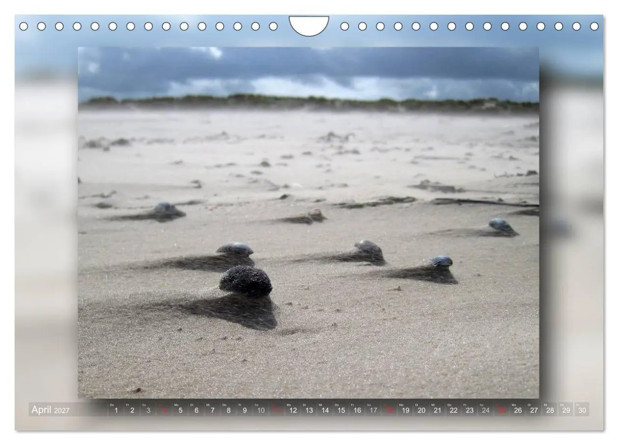 Bild: 9783594099452 | Baltrum - Ein Tag am Strand (Wandkalender 2027 DIN A4 quer),...
