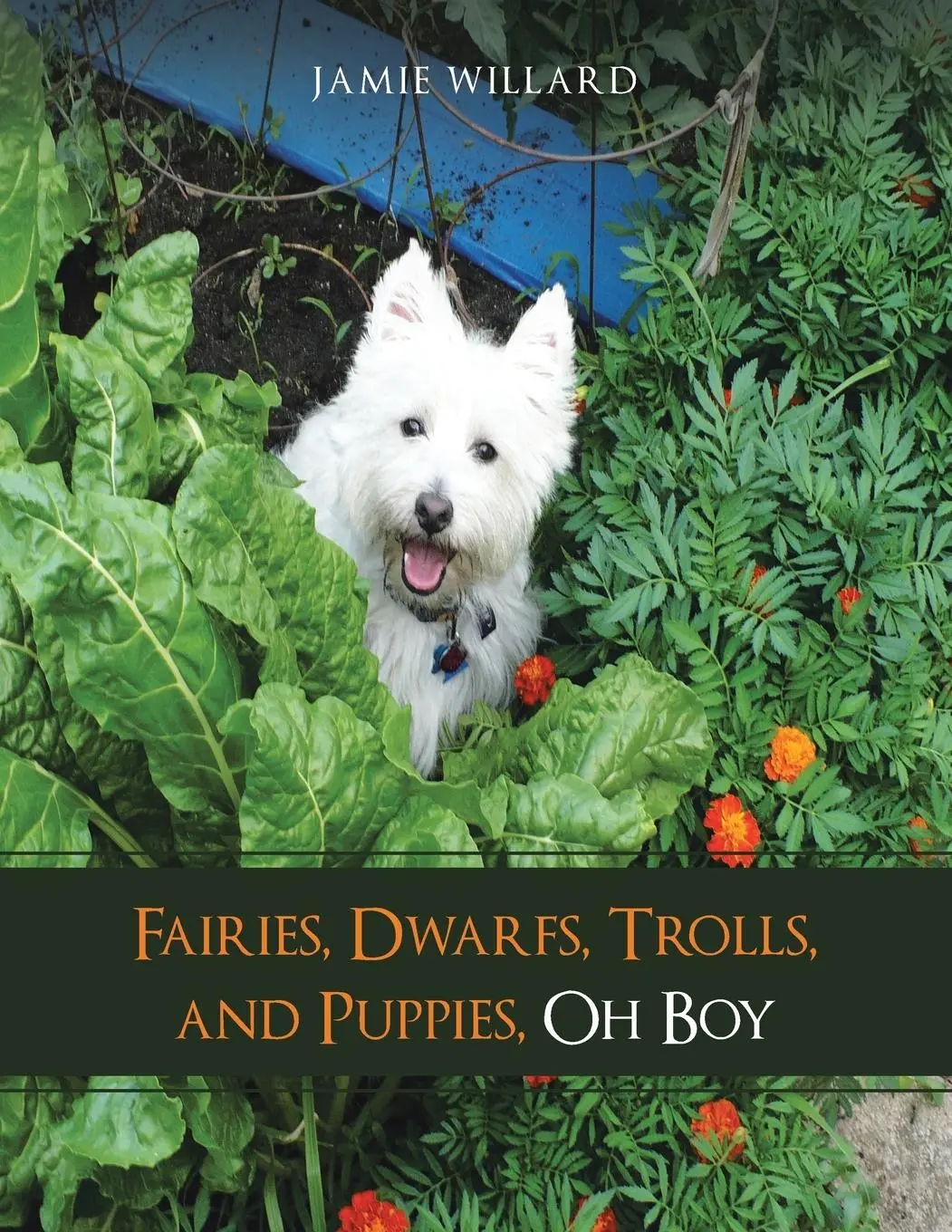 Cover: 9781504329552 | Fairies, Dwarfs, Trolls, and Puppies, Oh Boy | Jamie Willard | Buch