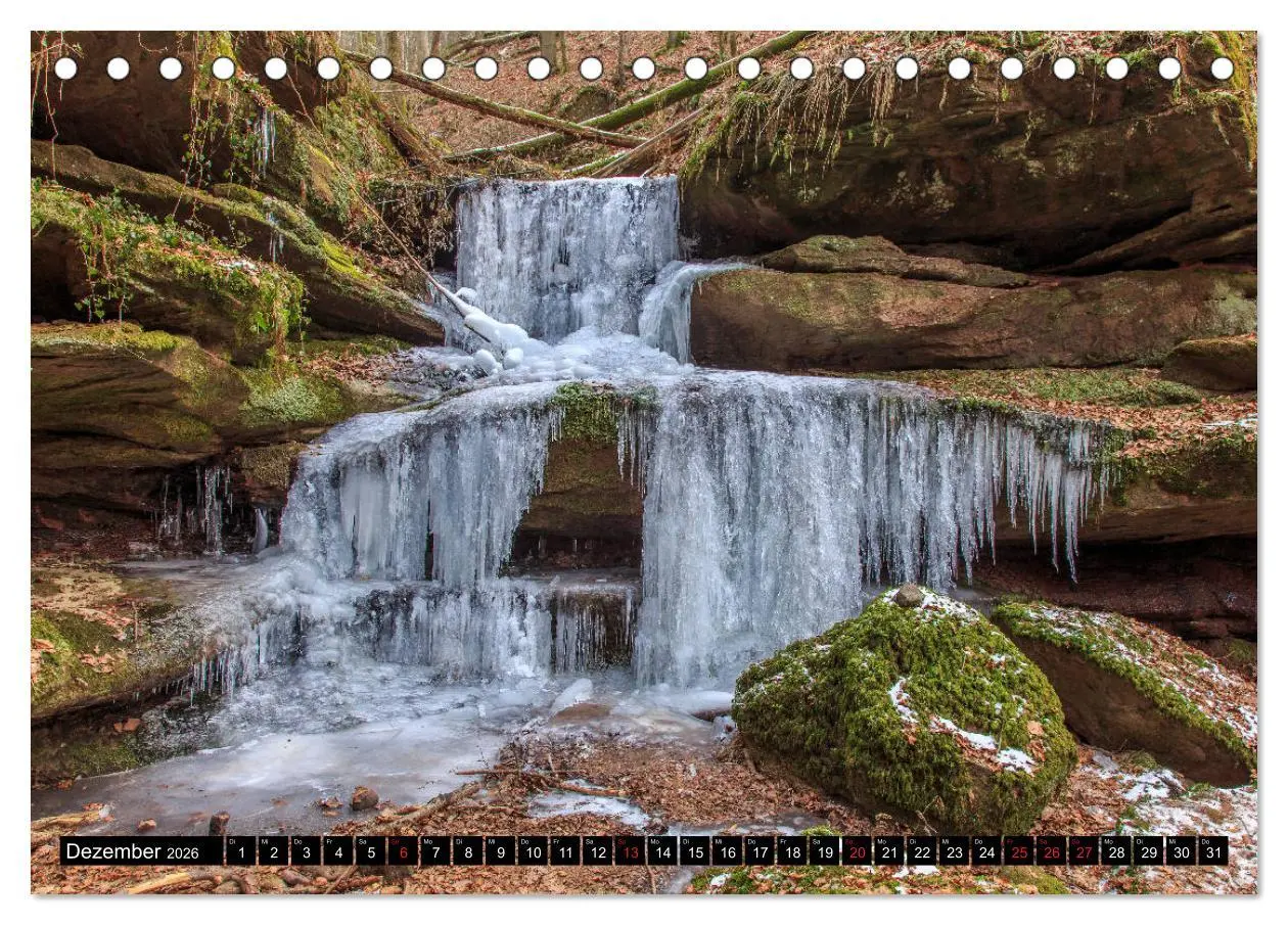 Bild: 9783457919552 | In und um Pirmasens (Tischkalender 2026 DIN A5 quer), CALVENDO...