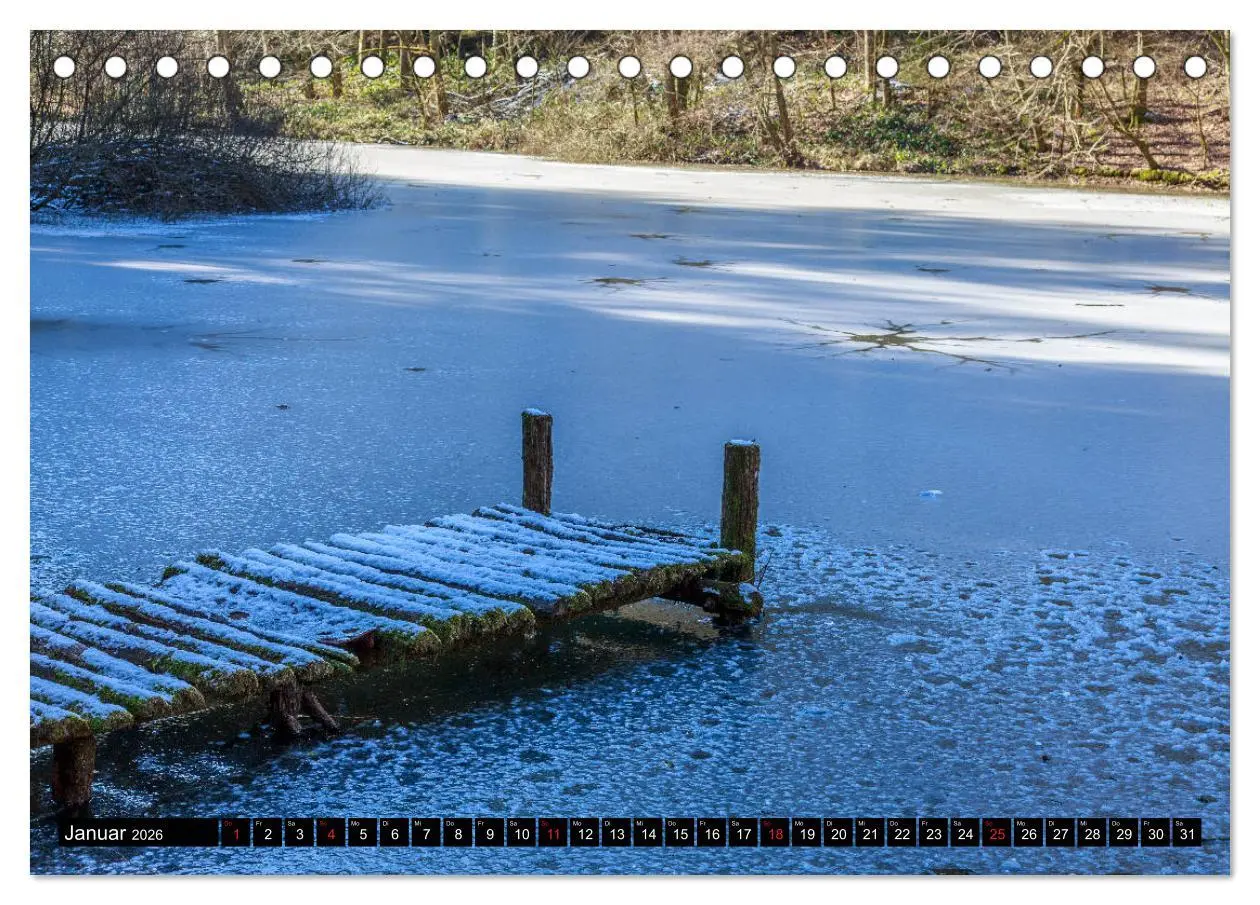 Bild: 9783457919552 | In und um Pirmasens (Tischkalender 2026 DIN A5 quer), CALVENDO...
