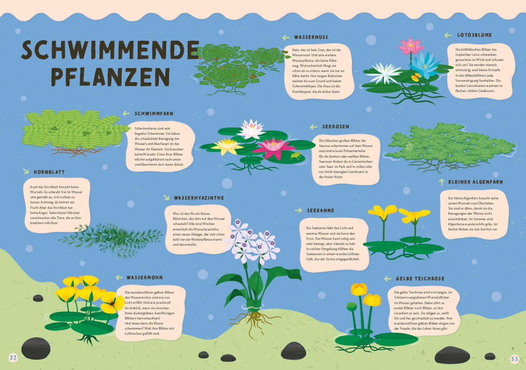 Bild: 9783730609552 | Alles, was schwimmt. Im und auf und unter dem Wasser | Sekaninová