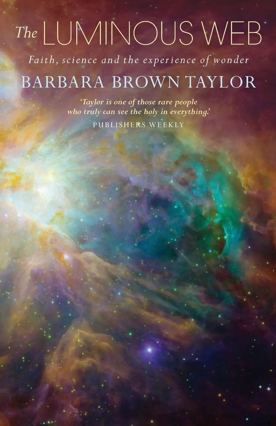 Cover: 9781848259652 | The Luminous Web | Faith, science and the experience of wonder | Buch