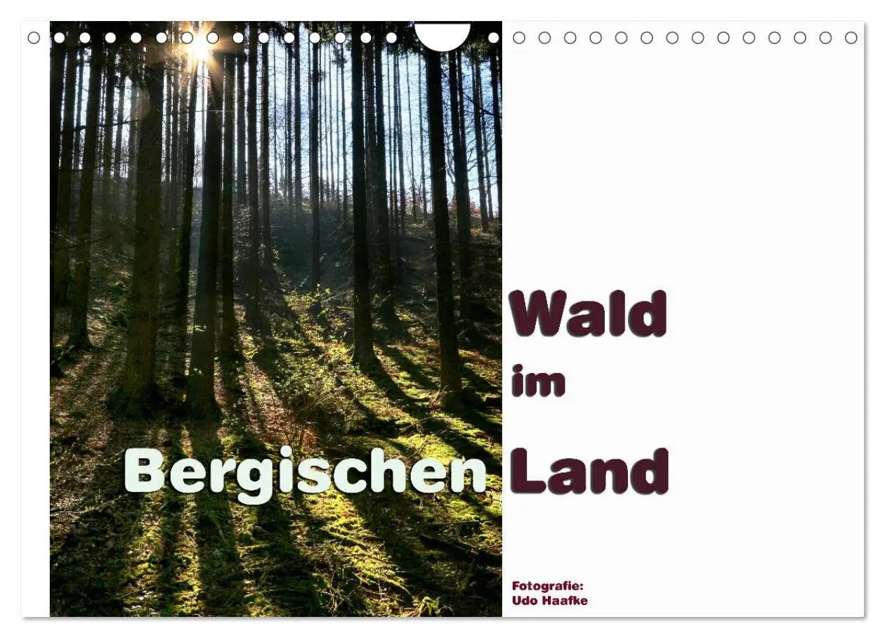 Cover: 9783457909652 | Wald im Bergischen Land 2026 (Wandkalender 2026 DIN A4 quer),...