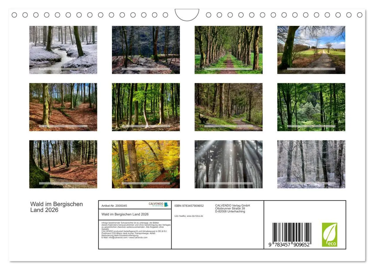 Bild: 9783457909652 | Wald im Bergischen Land 2026 (Wandkalender 2026 DIN A4 quer),...
