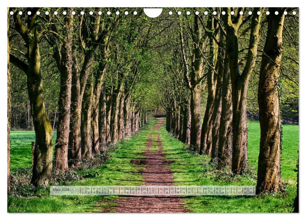 Bild: 9783457909652 | Wald im Bergischen Land 2026 (Wandkalender 2026 DIN A4 quer),...