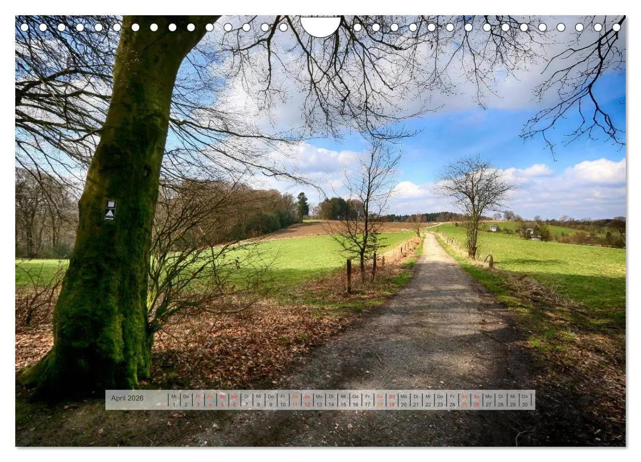 Bild: 9783457909652 | Wald im Bergischen Land 2026 (Wandkalender 2026 DIN A4 quer),...