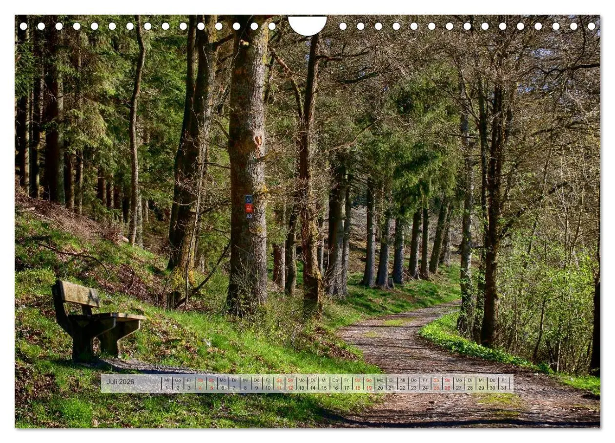 Bild: 9783457909652 | Wald im Bergischen Land 2026 (Wandkalender 2026 DIN A4 quer),...