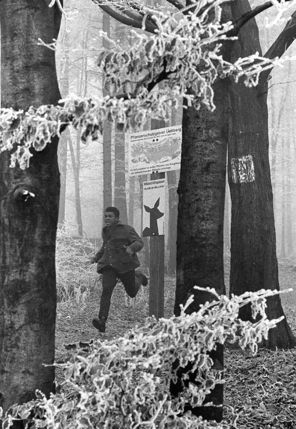 Cover: 9783905929652 | Muhammad Ali, Zurich, 26.12.1971 | Eric Bachmann | Buch | 392 S.