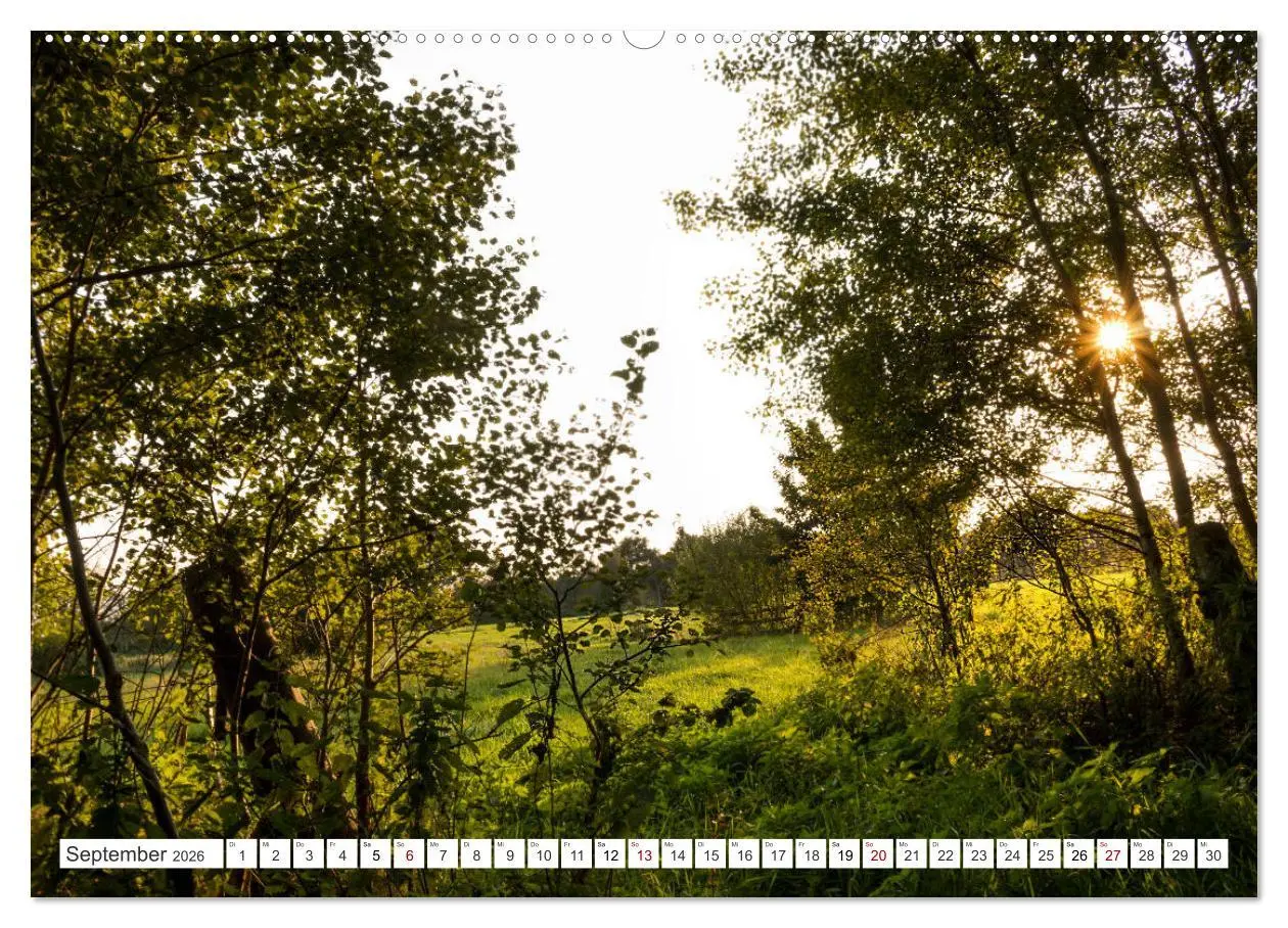 Bild: 9783457759752 | Osterholz-Scharmbeck, Natur-Impressionen aus dem Teufelsmoor...