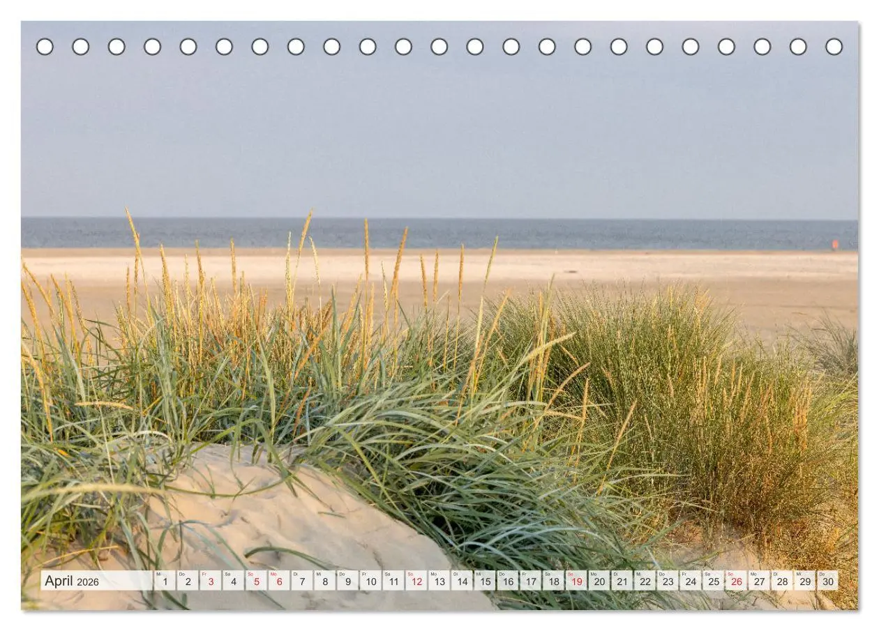 Bild: 9783516159752 | Die Insel Römö (Tischkalender 2026 DIN A5 quer), CALVENDO...