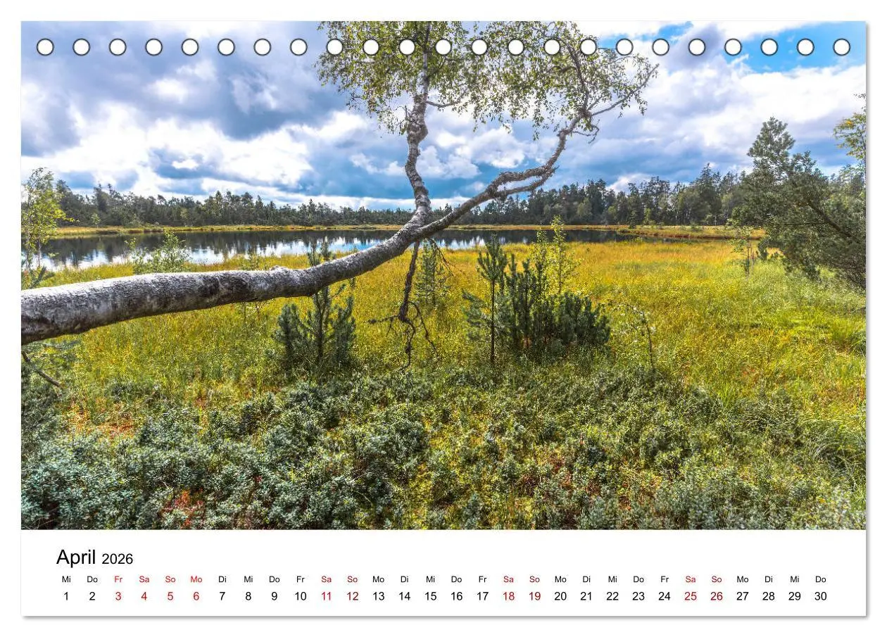 Bild: 9783457749852 | Schwarzwald, Seen und Hochmoore (Tischkalender 2026 DIN A5 quer),...