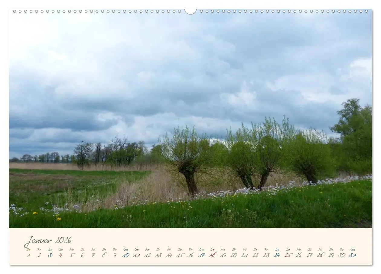 Bild: 9783516079852 | Bremer Blockland - Landleben in der Großstadt (Wandkalender 2026...