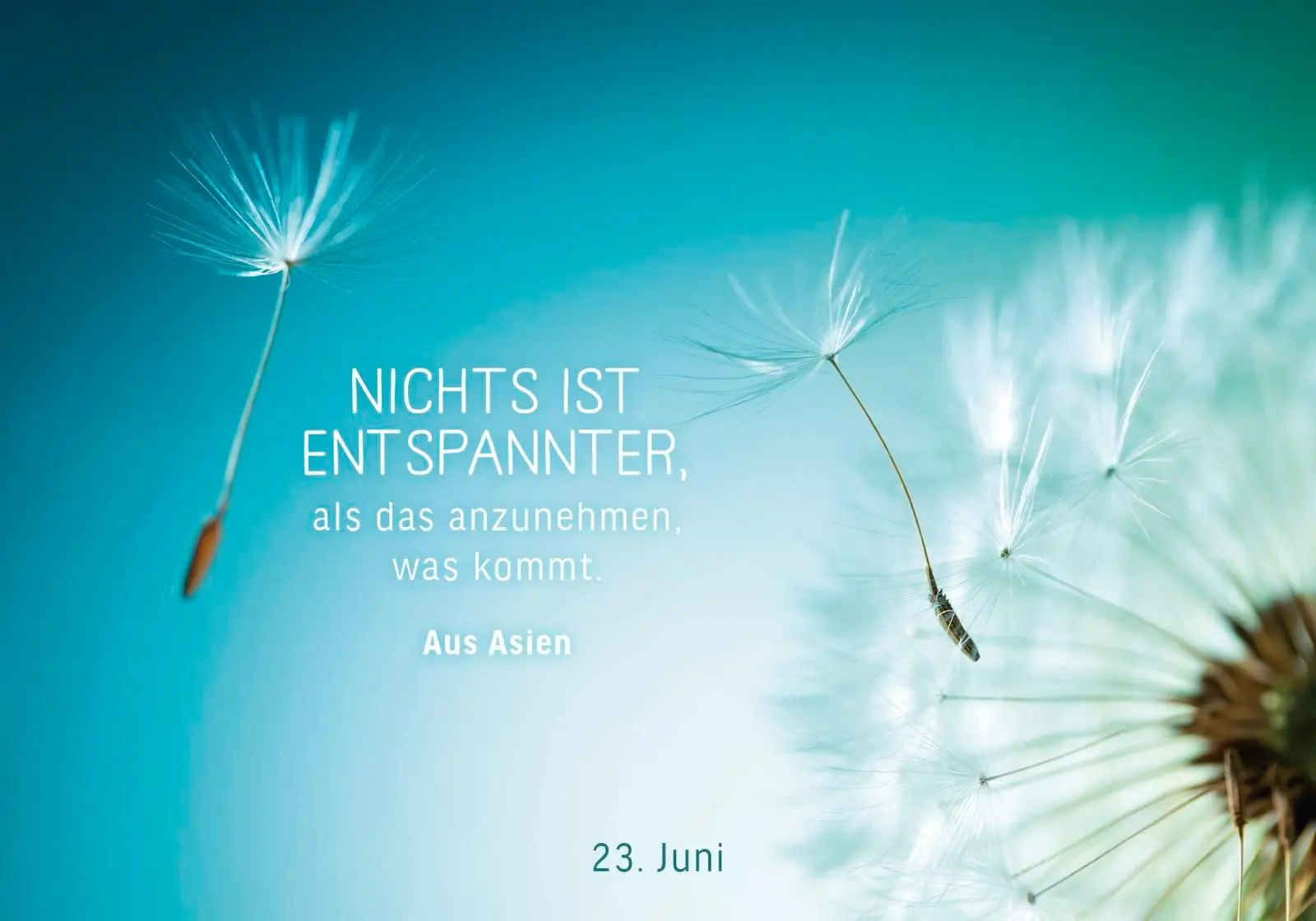 Bild: 9783629009852 | 365 Glücksmomente | Pattloch Verlag | Taschenbuch | 384 S. | Deutsch